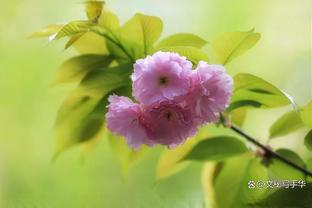 麦穗丰：广厦末节全替补&王博也不起立指导 这也是他们队的选择